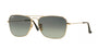 Ray Ban Caravan 3136 Sunglasses