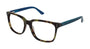 gx by GWEN STEFANI GX010 Eyeglasses