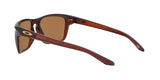 944802 - Brown - Prizm Bronze