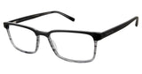 Ted Baker B899 Eyeglasses