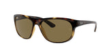 Ray Ban 4351 Sunglasses