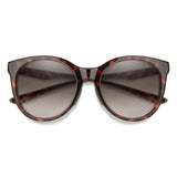 08654HA - Tortoise - Brown Gradient