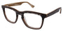 Ted Baker B881 Eyeglasses