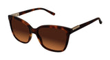 Ted Baker TB134 Sunglasses