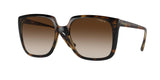 Vogue 5411S Sunglasses