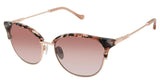 Buffalo by David Bitton BWS011 Sunglasses