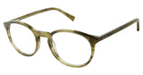 Ted Baker B895 Eyeglasses