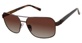 Ted Baker TBM045 Sunglasses