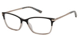 Ted Baker TFW003 Eyeglasses