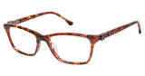 Buffalo by David Bitton BW002 Eyeglasses