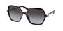 Bvlgari 8238BF Sunglasses