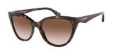 Emporio Armani 4162 Sunglasses