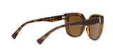 500383 - Havana - Polar Brown