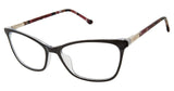 Buffalo by David Bitton BW012 Eyeglasses