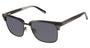 Ted Baker TBM080 Sunglasses