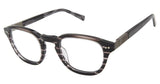 Ted Baker TM007 Eyeglasses