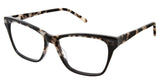 L.A.M.B. LA039 Eyeglasses