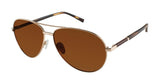 Ted Baker B695 Sunglasses