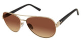 Ted Baker TBW124 Sunglasses