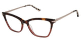 Ted Baker TW006 Eyeglasses