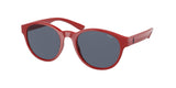 Polo 4176 Sunglasses