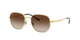 Ray Ban 3682 Sunglasses