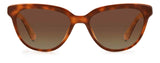 0086-HA - Havana - Brown Gradient