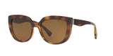 500383 - Havana - Polar Brown