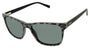 Buffalo by David Bitton BMS009 Sunglasses