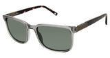 Ted Baker TBM081 Sunglasses