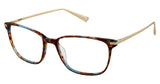 Ted Baker B748 Eyeglasses