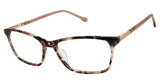 Buffalo by David Bitton BW014 Eyeglasses