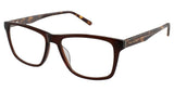 Ted Baker B891 Eyeglasses