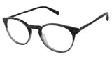 Ted Baker TFM006 Eyeglasses