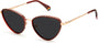 Polaroid Core Polaroid6148 Sunglasses