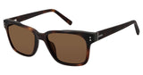 Ted Baker TBM047 Sunglasses