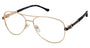 Buffalo by David Bitton BW503 Eyeglasses