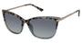 Ted Baker TBW147 Sunglasses