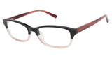 Ted Baker BIO717 Eyeglasses