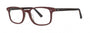 OGI Eyewear 7161 Eyeglasses