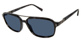 Buffalo by David Bitton BMS007 Sunglasses