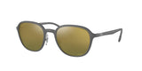 Ray Ban 4341CH Sunglasses