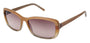 Brendel 906033 Sunglasses