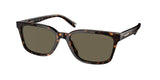 Coach C6196 8328U Sunglasses