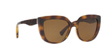 500383 - Havana - Polar Brown