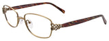 Aspex Eyewear PX909 Eyeglasses