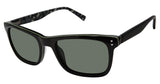 Buffalo by David Bitton BMS005 Sunglasses