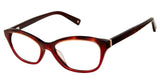 Brendel 924029 Eyeglasses