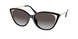 Michael Kors Alexandria 2152U Sunglasses