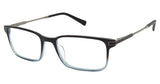 Ted Baker TFM009 Eyeglasses